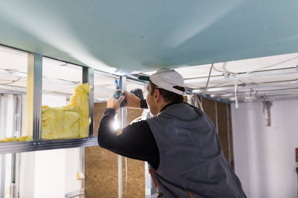 Best Specialty Insulation in Albany, MO